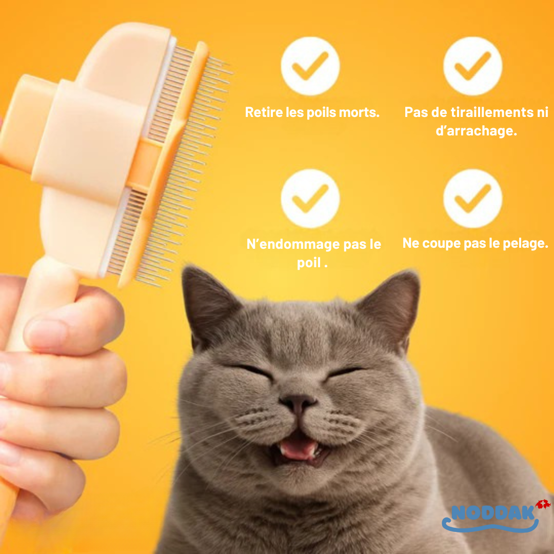 Brosse Féline