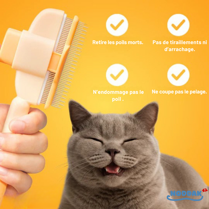 Brosse Féline