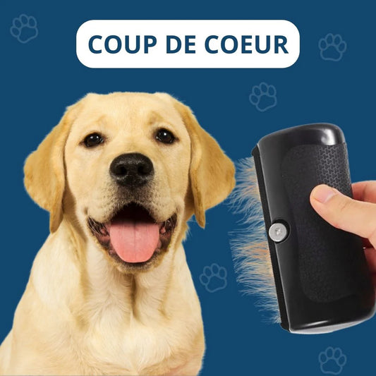 Brosse Miracle pour Animaux – Démêle et Prend Soin du Pelage