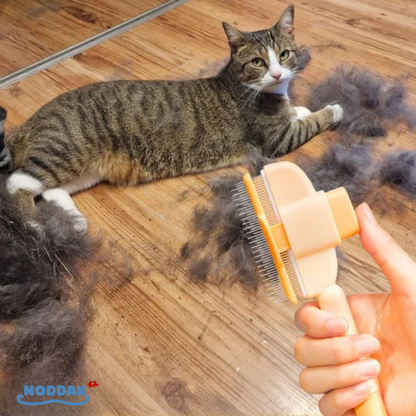 Brosse Féline