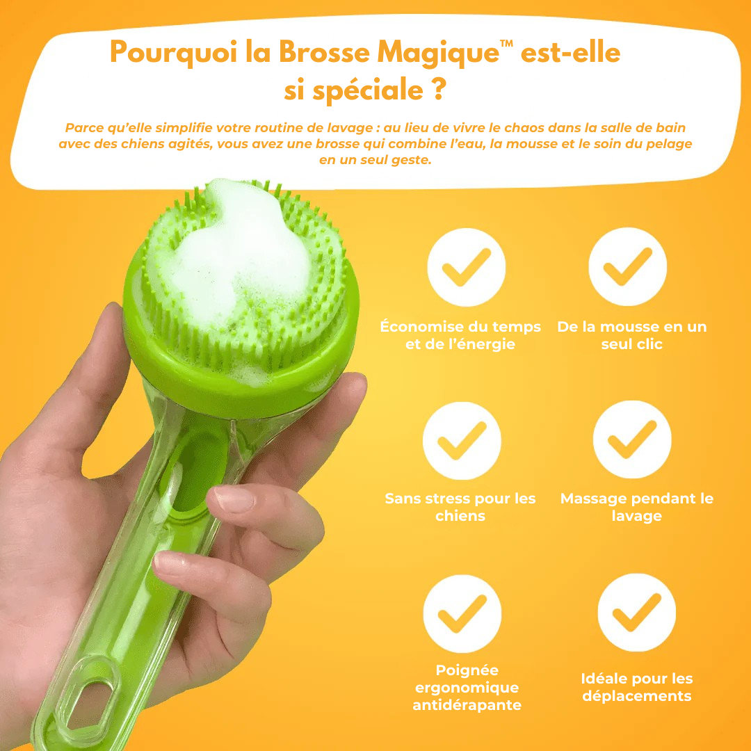 Brosse Magique