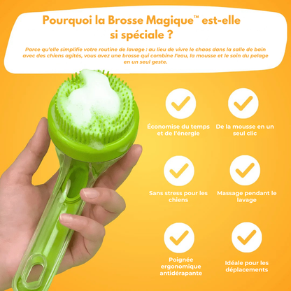 Brosse Magique
