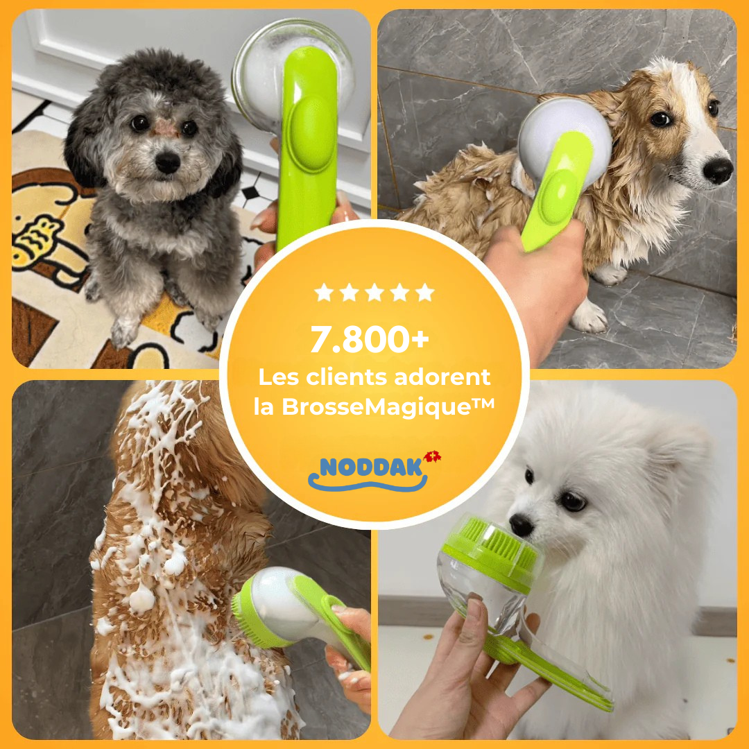 Brosse Magique