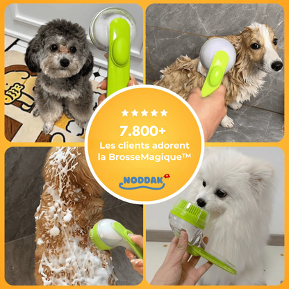 Brosse Magique