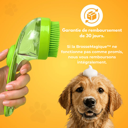 Brosse Magique