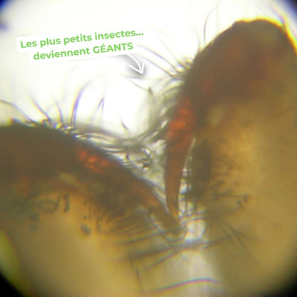 MiniScope Kids – Le microscope portable qui révèle le monde aux enfants