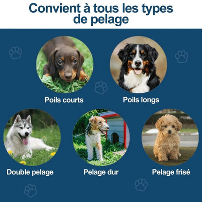 Brosse Miracle pour Animaux – Démêle et Prend Soin du Pelage