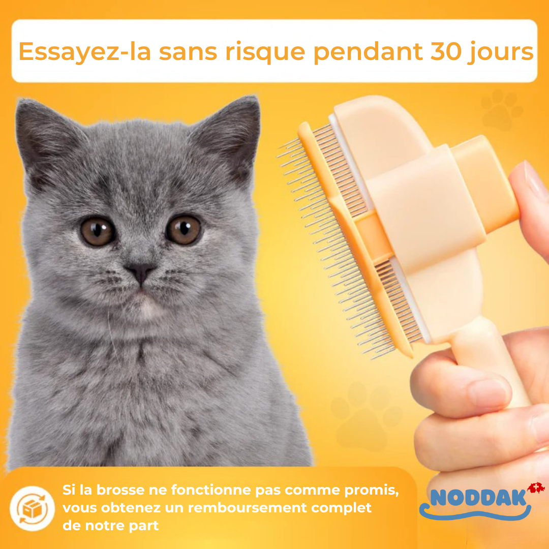 Brosse Féline
