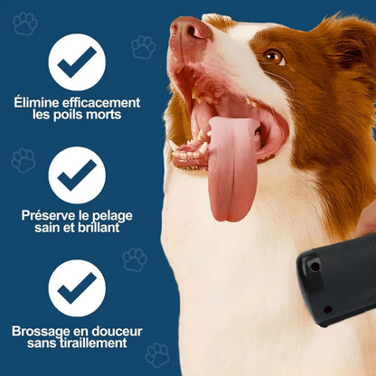 Brosse Miracle pour Animaux – Démêle et Prend Soin du Pelage