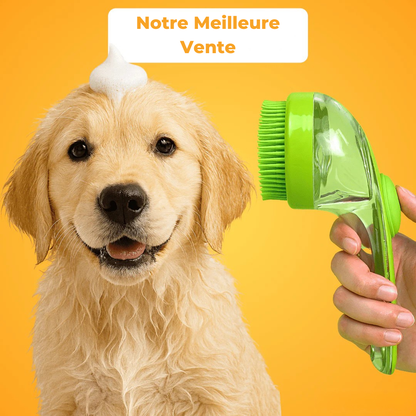 Brosse Magique