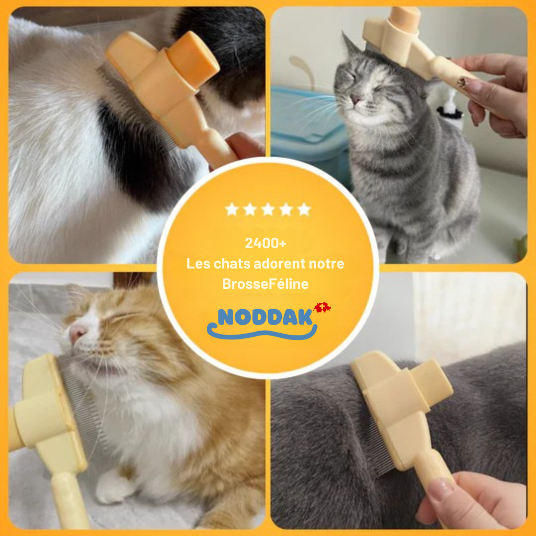 Brosse Féline