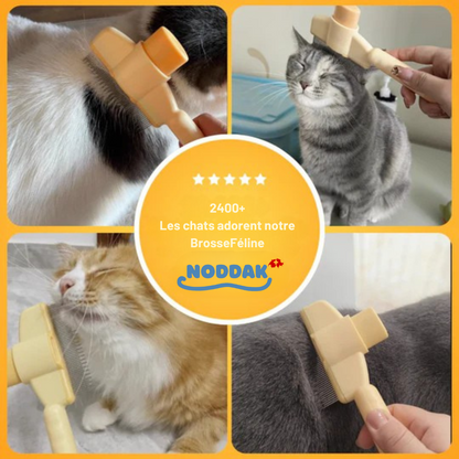 Brosse Féline