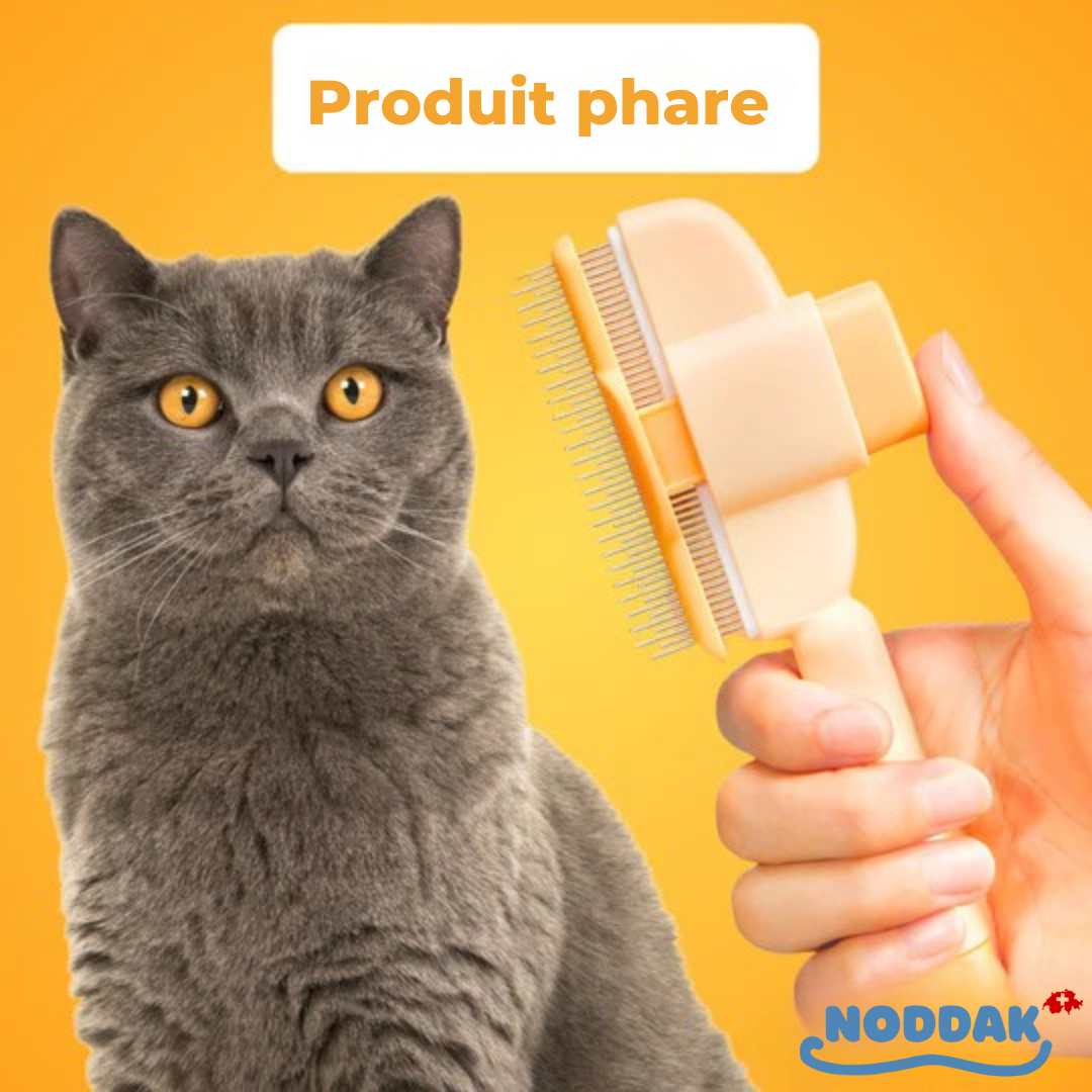 Brosse Féline
