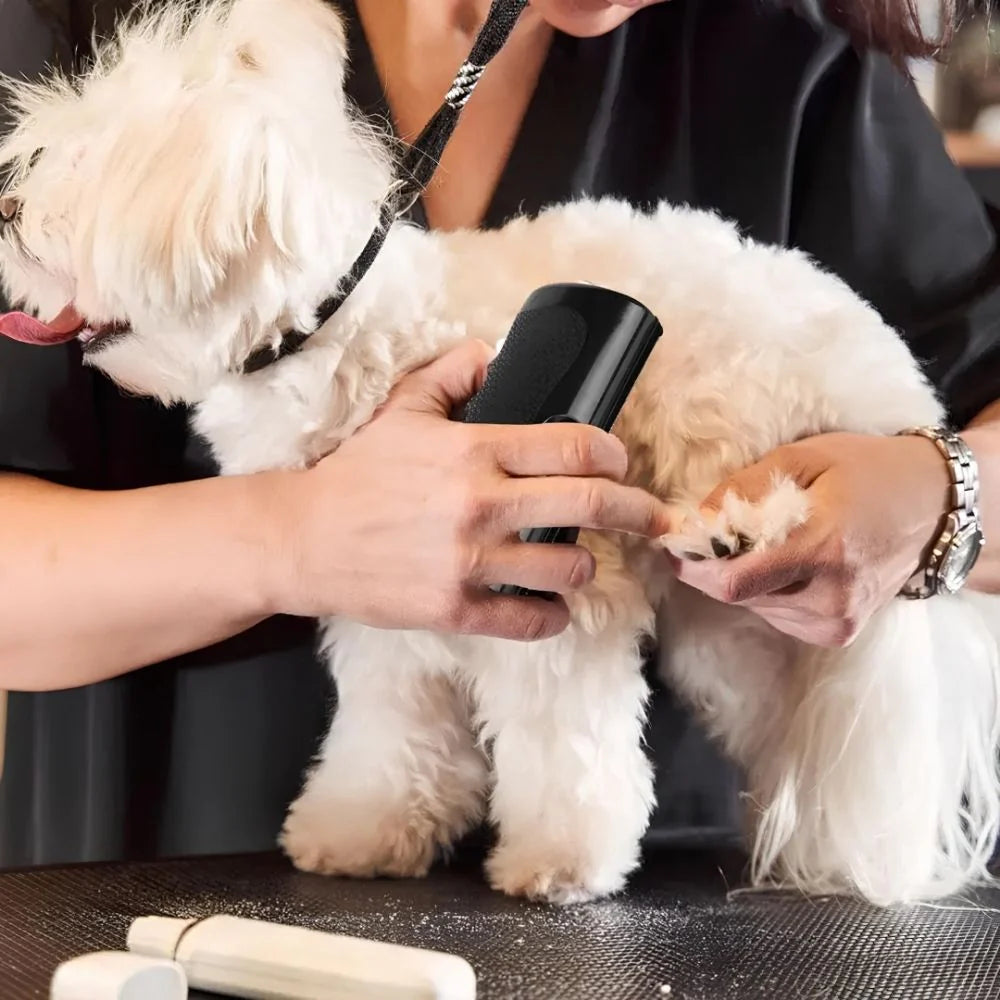 Brosse Miracle pour Animaux – Démêle et Prend Soin du Pelage