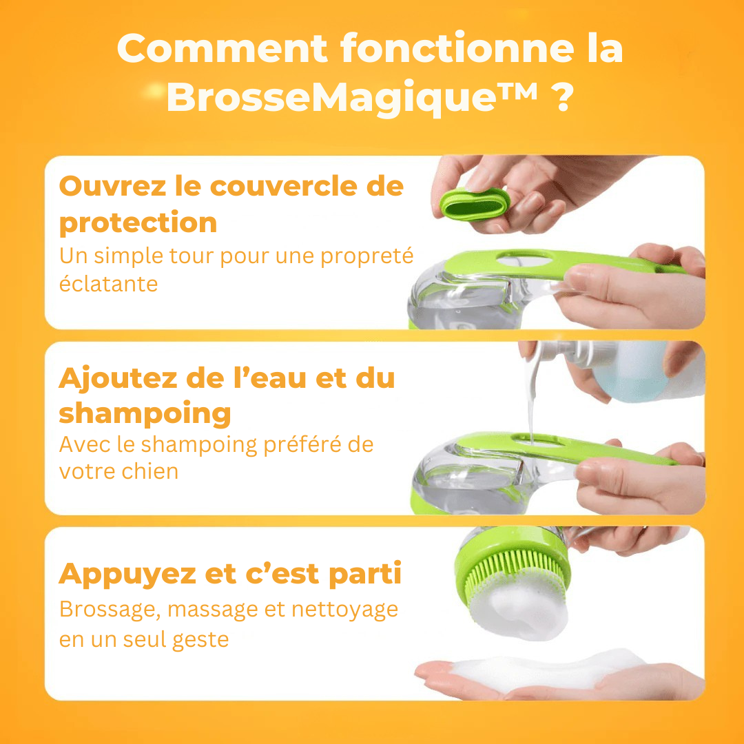Brosse Magique