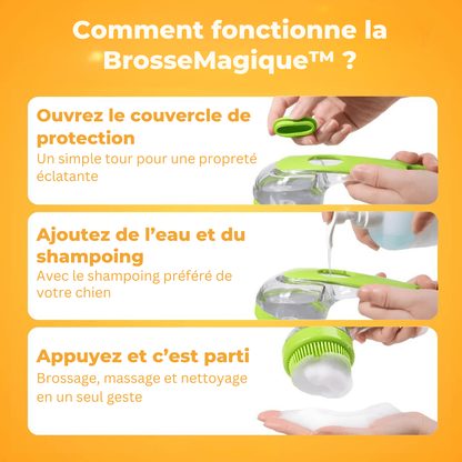 Brosse Magique