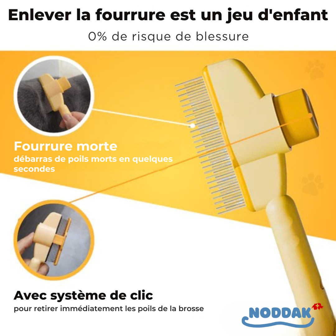 Brosse Féline