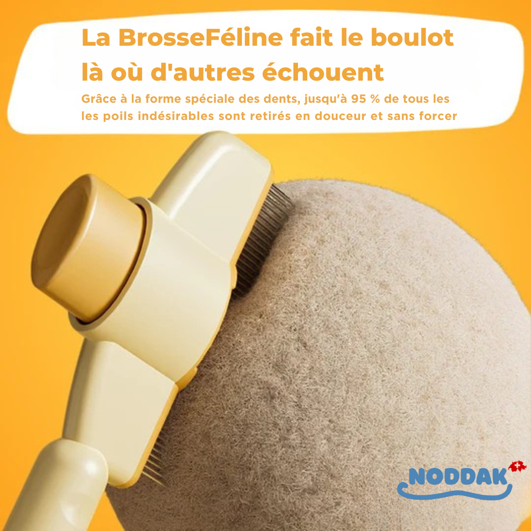 Brosse Féline