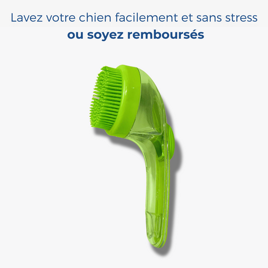 Brosse Magique