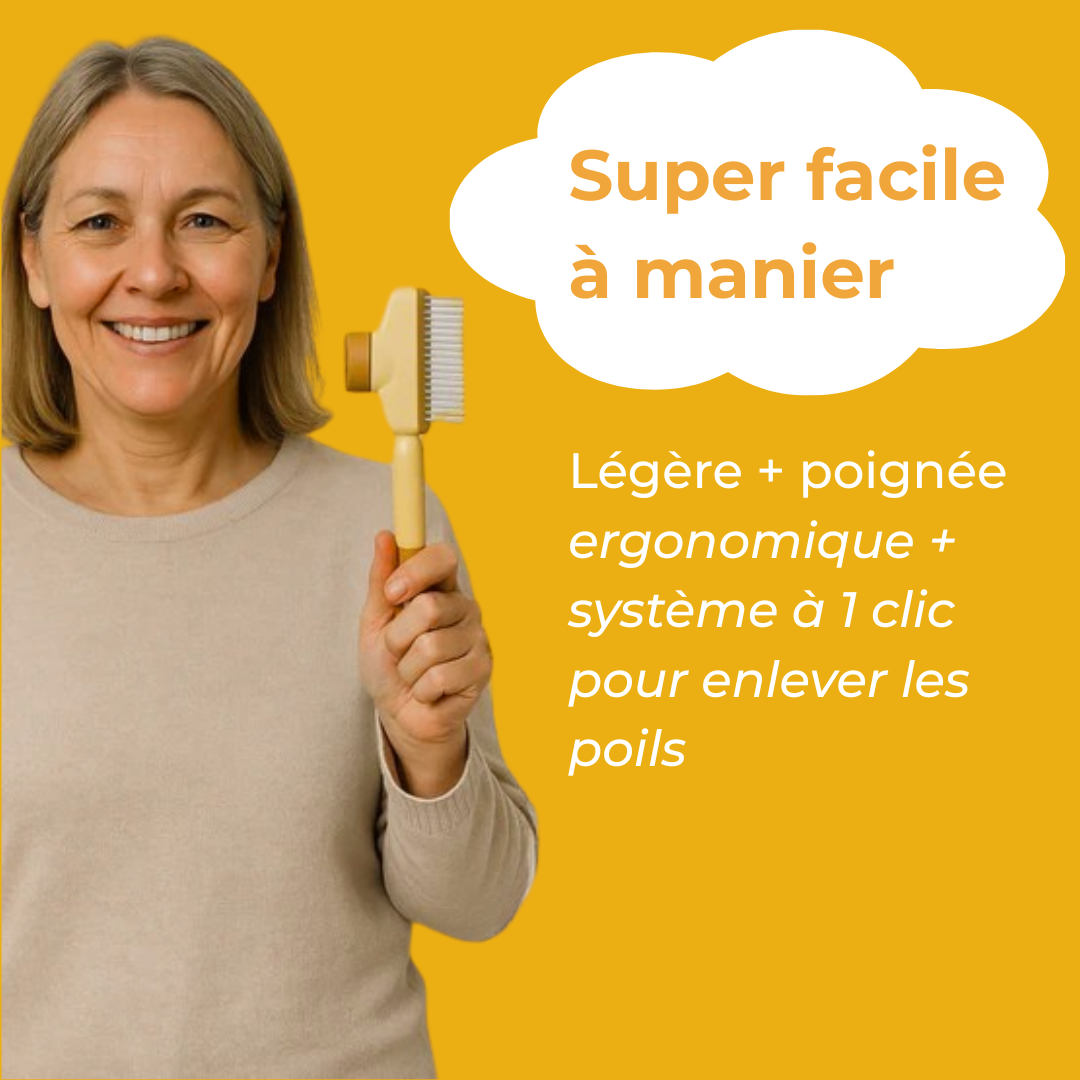 Brosse Féline